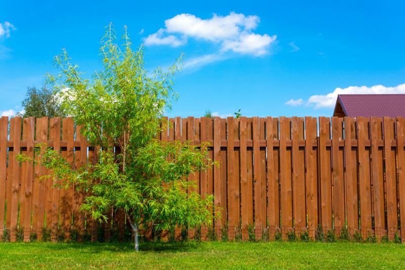 Summer Fence Projects